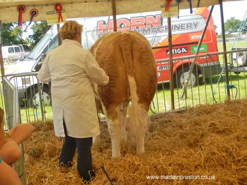 Great Eccleston Agricultural Show 2013