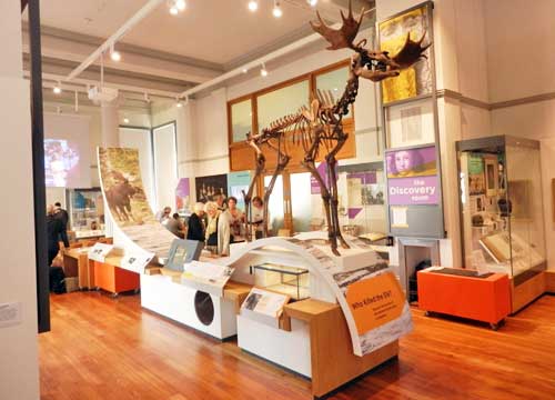 Poulton Elk at the Discover Preston gallery