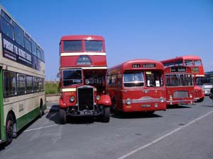 Ribble Buses