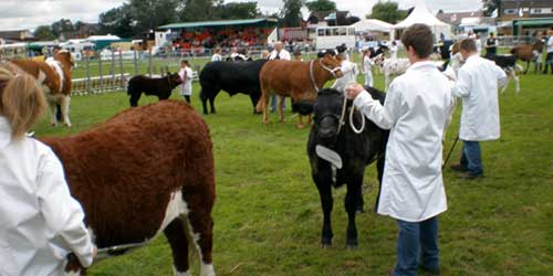 Garstang Show