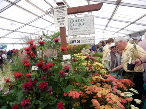 Holden Clough Nursery home of John Foley BBC Young Gardener of the Year 2012