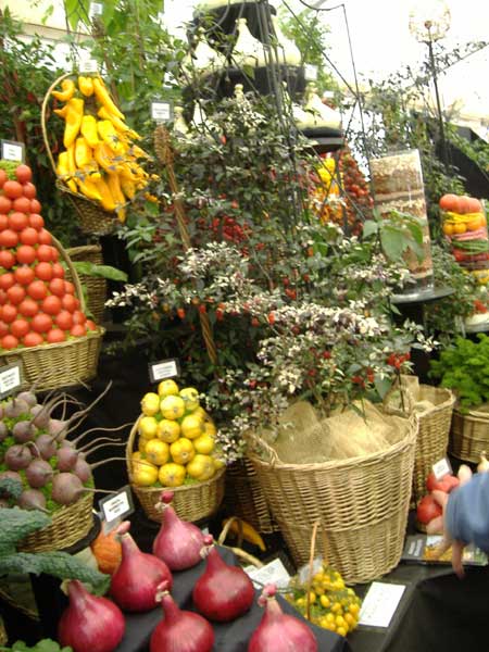 Robinsons Mammoth Onion display at Tatton RHS show 2007