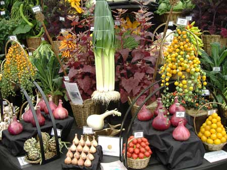 Robinsons Mammoth Onion display at Tatton 2006