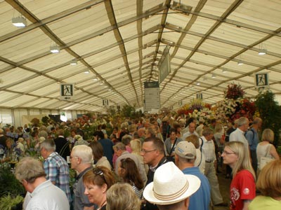 Tatton Floral Tent 2010