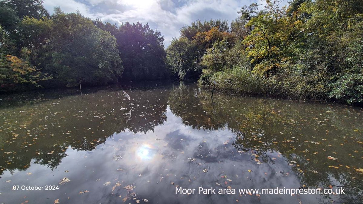 Moor Park pond